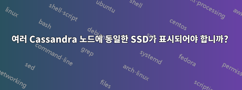 여러 Cassandra 노드에 동일한 SSD가 표시되어야 합니까?