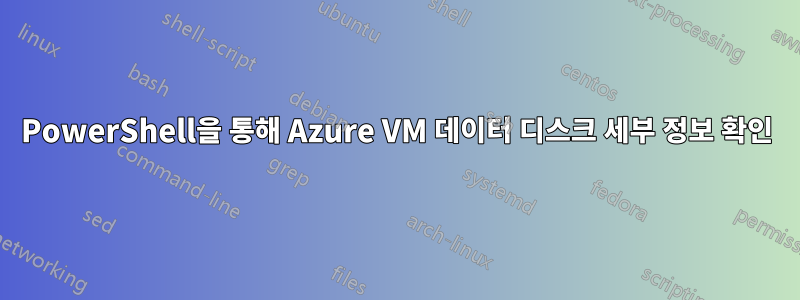 PowerShell을 통해 Azure VM 데이터 디스크 세부 정보 확인