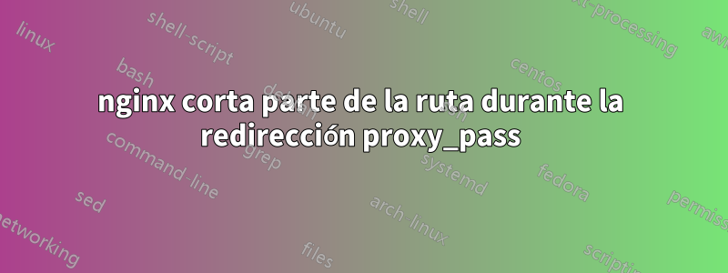 nginx corta parte de la ruta durante la redirección proxy_pass