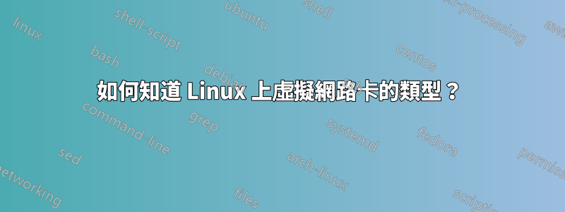 如何知道 Linux 上虛擬網路卡的類型？