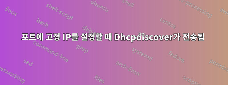 포트에 고정 IP를 설정할 때 Dhcpdiscover가 전송됨