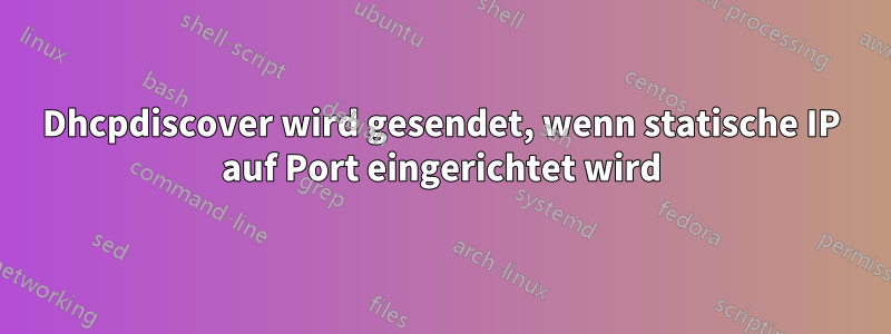 Dhcpdiscover wird gesendet, wenn statische IP auf Port eingerichtet wird