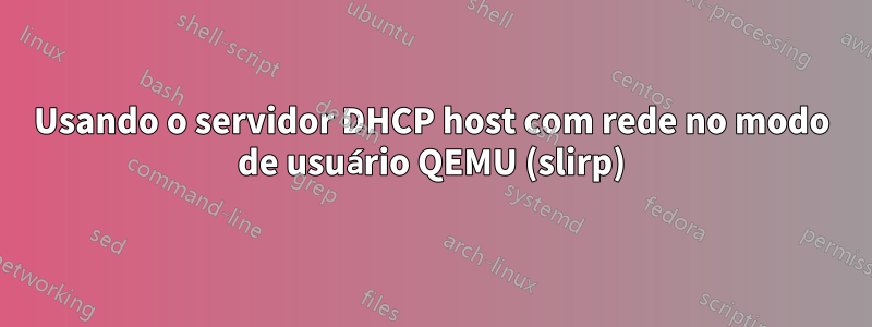 Usando o servidor DHCP host com rede no modo de usuário QEMU (slirp)