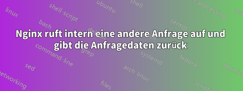 Nginx ruft intern eine andere Anfrage auf und gibt die Anfragedaten zurück