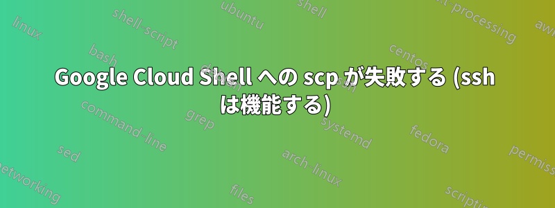 Google Cloud Shell への scp が失敗する (ssh は機能する)