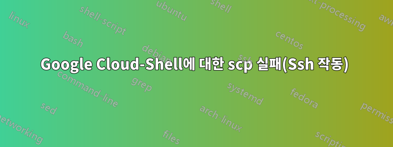 Google Cloud-Shell에 대한 scp 실패(Ssh 작동)