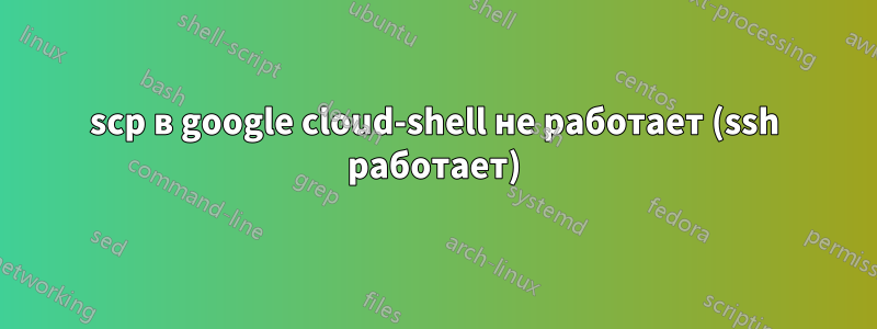 scp в google cloud-shell не работает (ssh работает)