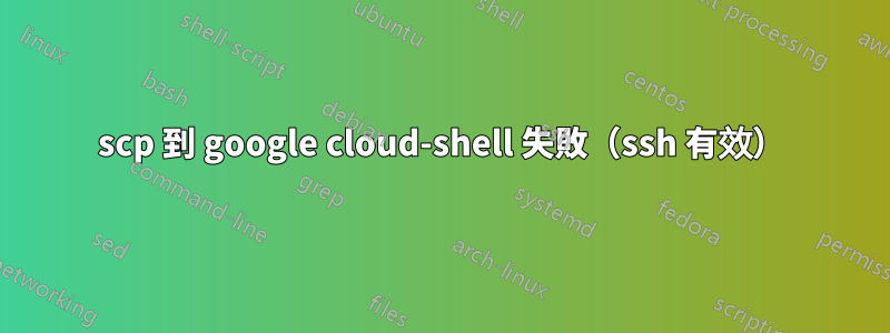 scp 到 google cloud-shell 失敗（ssh 有效）