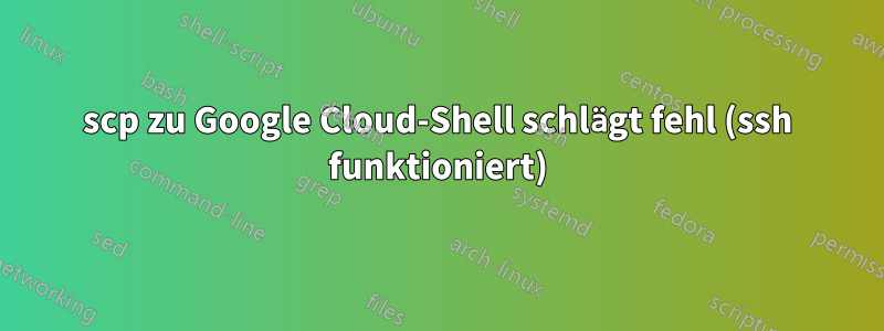 scp zu Google Cloud-Shell schlägt fehl (ssh funktioniert)