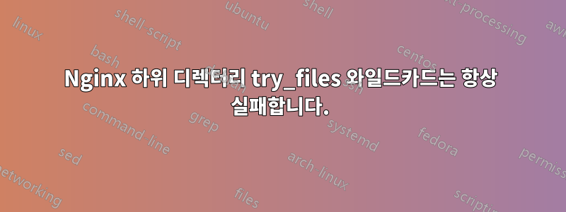 Nginx 하위 디렉터리 try_files 와일드카드는 항상 실패합니다.