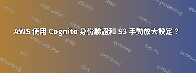 AWS 使用 Cognito 身份驗證和 S3 手動放大設定？