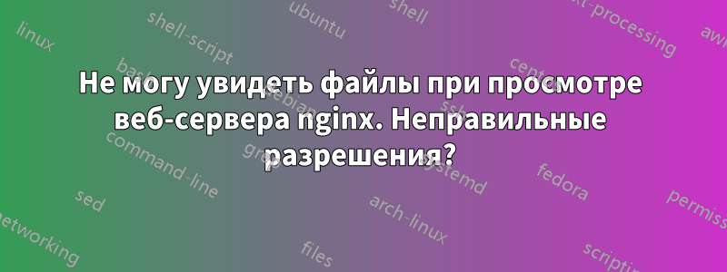 Не могу увидеть файлы при просмотре веб-сервера nginx. Неправильные разрешения?