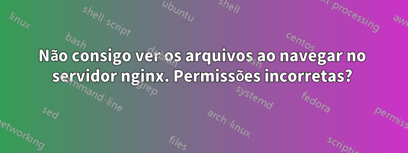 Não consigo ver os arquivos ao navegar no servidor nginx. Permissões incorretas?