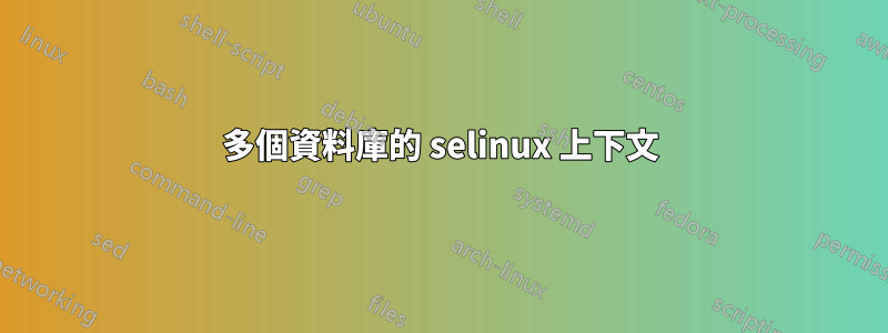 多個資料庫的 selinux 上下文