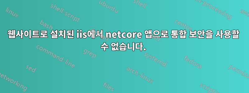 웹사이트로 설치된 iis에서 netcore 앱으로 통합 보안을 사용할 수 없습니다.