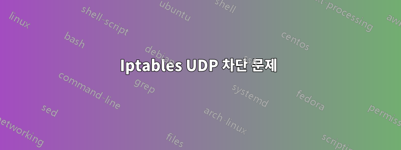 Iptables UDP 차단 문제