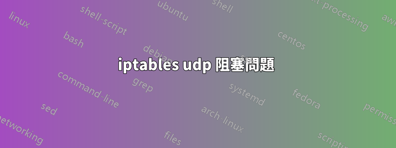 iptables udp 阻塞問題