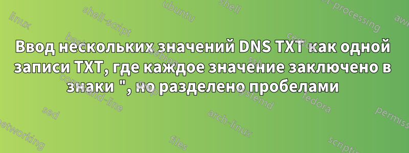 Ввод нескольких значений DNS TXT как одной записи TXT, где каждое значение заключено в знаки ", но разделено пробелами