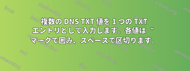 複数の DNS TXT 値を 1 つの TXT エントリとして入力します。各値は " マークで囲み、スペースで区切ります。