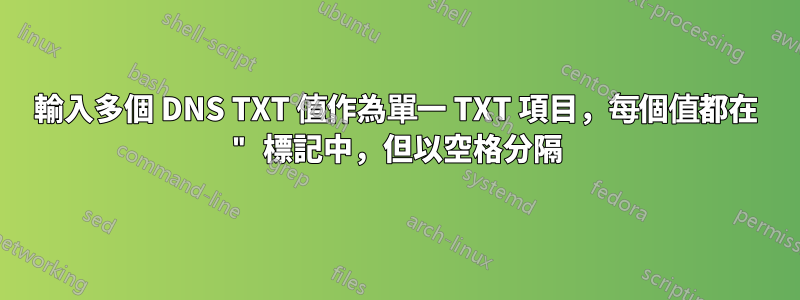 輸入多個 DNS TXT 值作為單一 TXT 項目，每個值都在 " 標記中，但以空格分隔