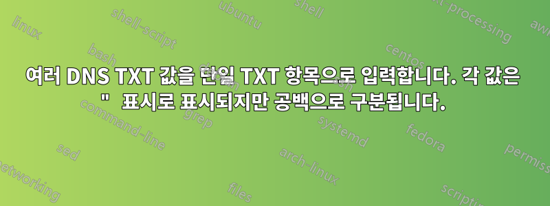 여러 DNS TXT 값을 단일 TXT 항목으로 입력합니다. 각 값은 " 표시로 표시되지만 공백으로 구분됩니다.