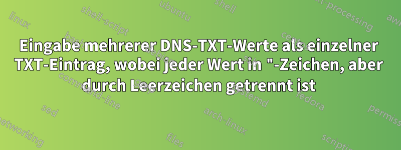 Eingabe mehrerer DNS-TXT-Werte als einzelner TXT-Eintrag, wobei jeder Wert in "-Zeichen, aber durch Leerzeichen getrennt ist