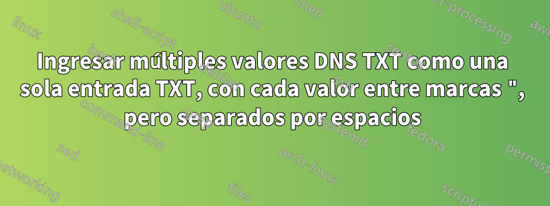 Ingresar múltiples valores DNS TXT como una sola entrada TXT, con cada valor entre marcas ", pero separados por espacios