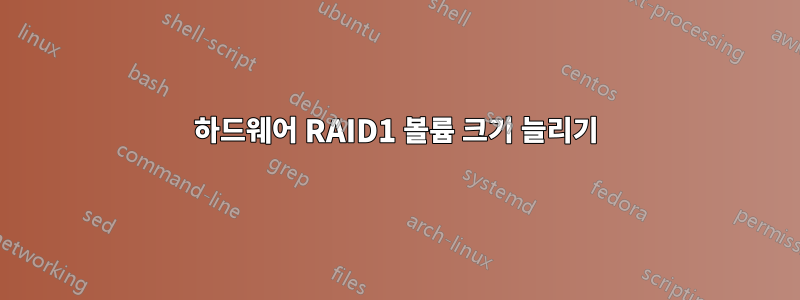 하드웨어 RAID1 볼륨 크기 늘리기