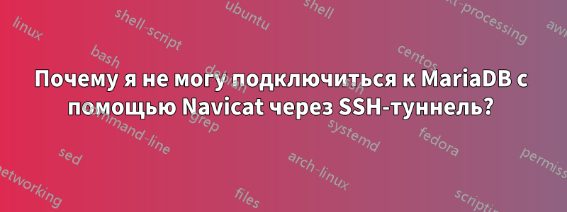 Почему я не могу подключиться к MariaDB с помощью Navicat через SSH-туннель?