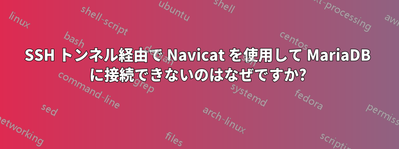 SSH トンネル経由で Navicat を使用して MariaDB に接続できないのはなぜですか?