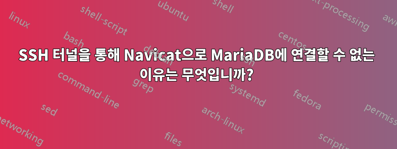 SSH 터널을 통해 Navicat으로 MariaDB에 연결할 수 없는 이유는 무엇입니까?