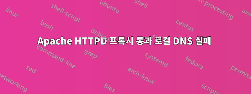 Apache HTTPD 프록시 통과 로컬 DNS 실패