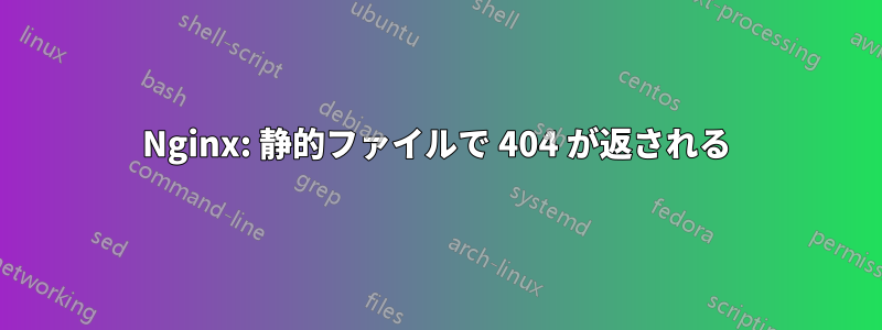 Nginx: 静的ファイルで 404 が返される