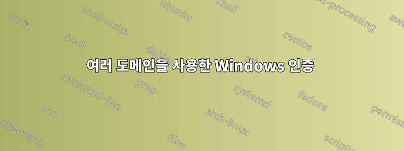 여러 도메인을 사용한 Windows 인증