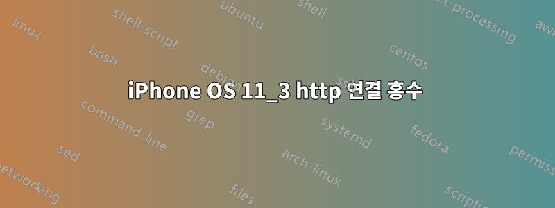 iPhone OS 11_3 http 연결 홍수