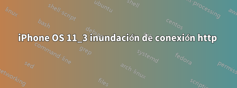 iPhone OS 11_3 inundación de conexión http