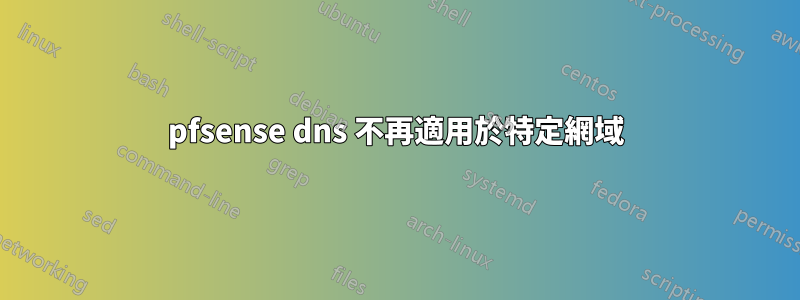 pfsense dns 不再適用於特定網域