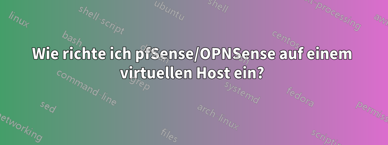 Wie richte ich pfSense/OPNSense auf einem virtuellen Host ein?