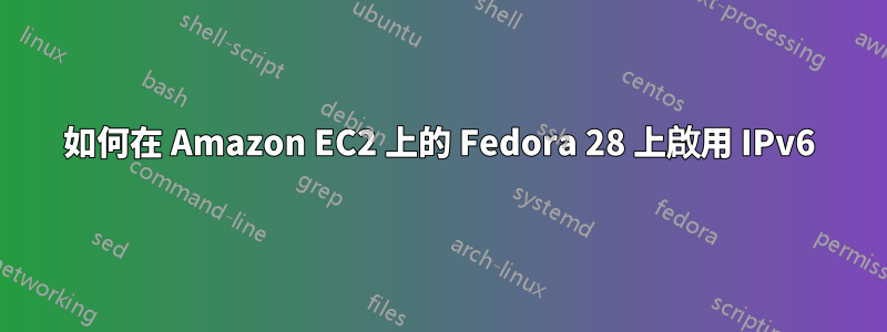 如何在 Amazon EC2 上的 Fedora 28 上啟用 IPv6