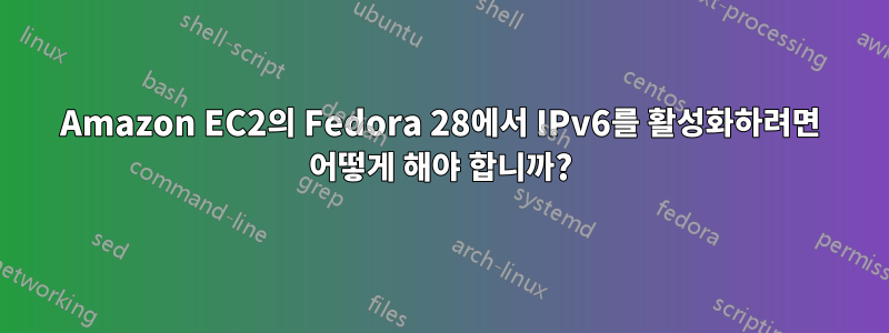 Amazon EC2의 Fedora 28에서 IPv6를 활성화하려면 어떻게 해야 합니까?