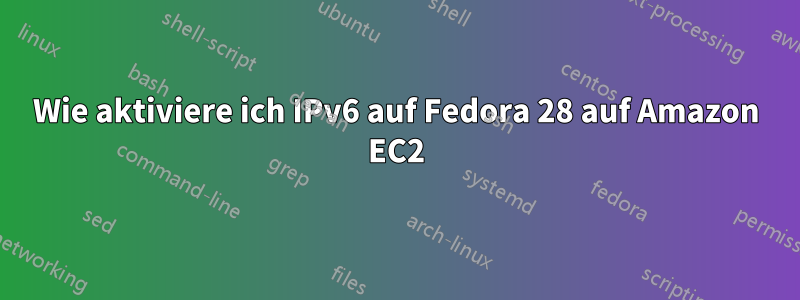 Wie aktiviere ich IPv6 auf Fedora 28 auf Amazon EC2