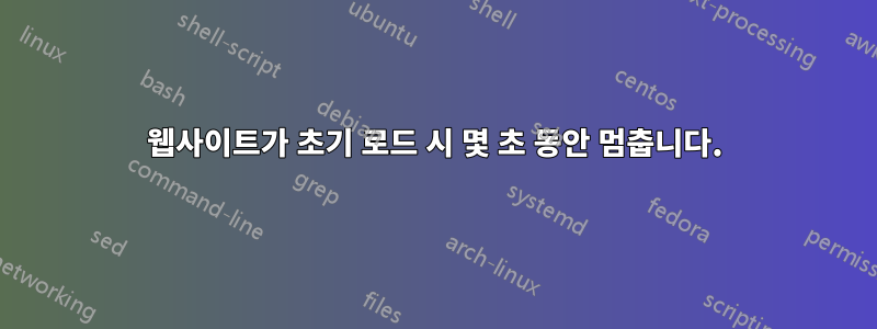 웹사이트가 초기 로드 시 몇 초 동안 멈춥니다.