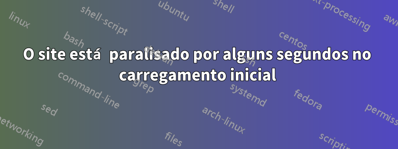 O site está paralisado por alguns segundos no carregamento inicial