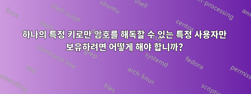 하나의 특정 키로만 암호를 해독할 수 있는 특정 사용자만 보유하려면 어떻게 해야 합니까?