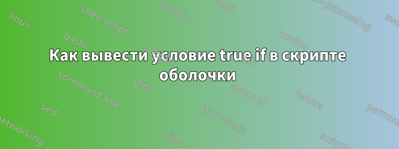 Как вывести условие true if в скрипте оболочки