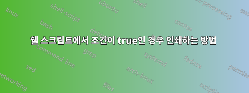 쉘 스크립트에서 조건이 true인 경우 인쇄하는 방법