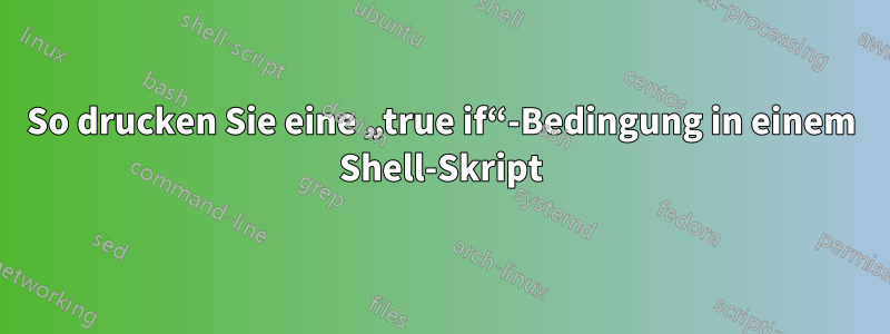 So drucken Sie eine „true if“-Bedingung in einem Shell-Skript