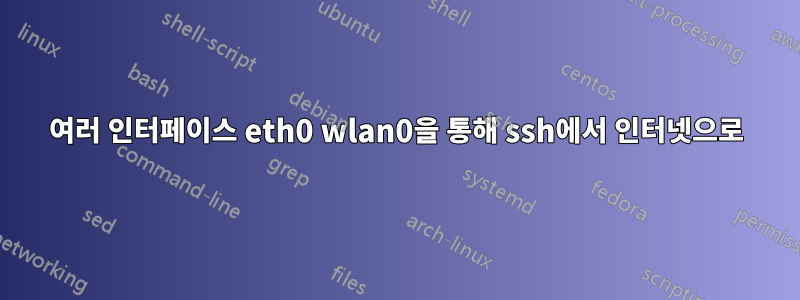 여러 인터페이스 eth0 wlan0을 통해 ssh에서 인터넷으로