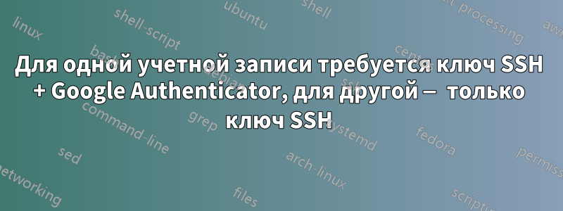 Для одной учетной записи требуется ключ SSH + Google Authenticator, для другой — только ключ SSH