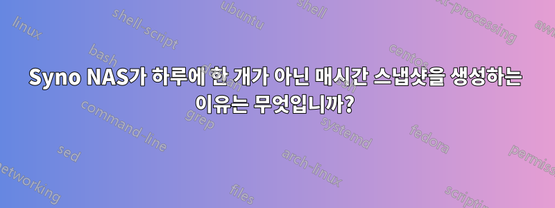 Syno NAS가 하루에 한 개가 아닌 매시간 스냅샷을 생성하는 이유는 무엇입니까?